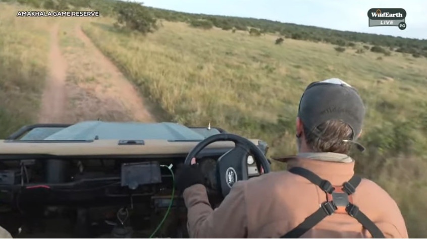 vokstar's tweet photo. #StrapCheck Hazzzzarrrr!!! It's goooood! #wildearth https://t.co/nBv1amNbgx