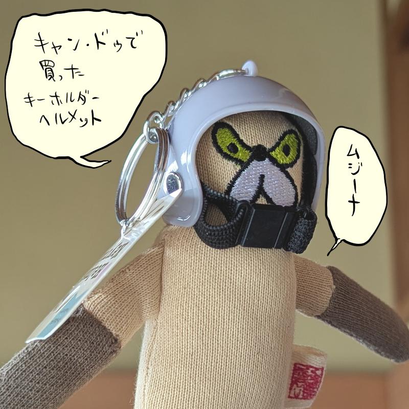 このムジーナが平べったいのでヘルメットの前後にスペースはできるけど結構フィットしている装備 
