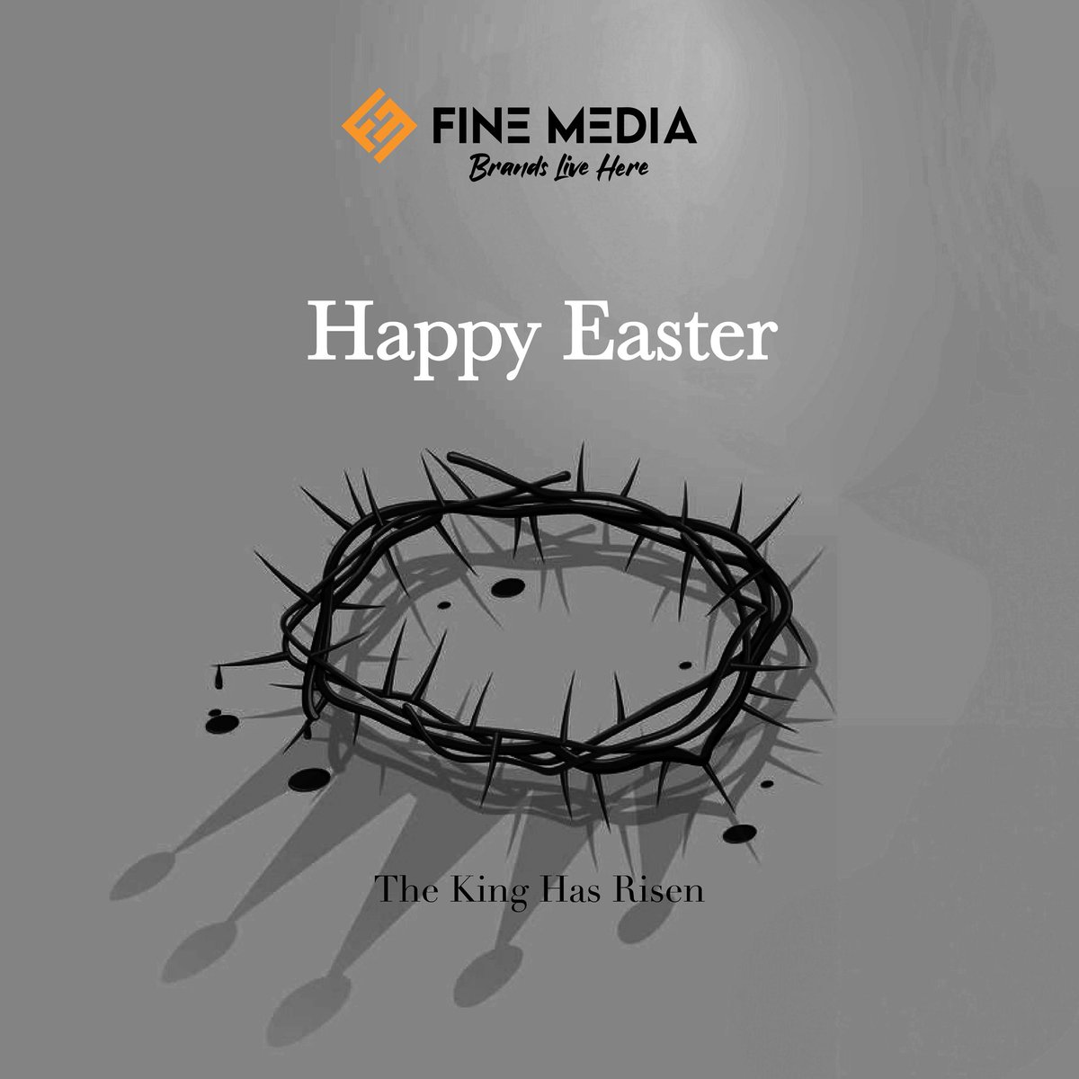 Fine Media tweet media