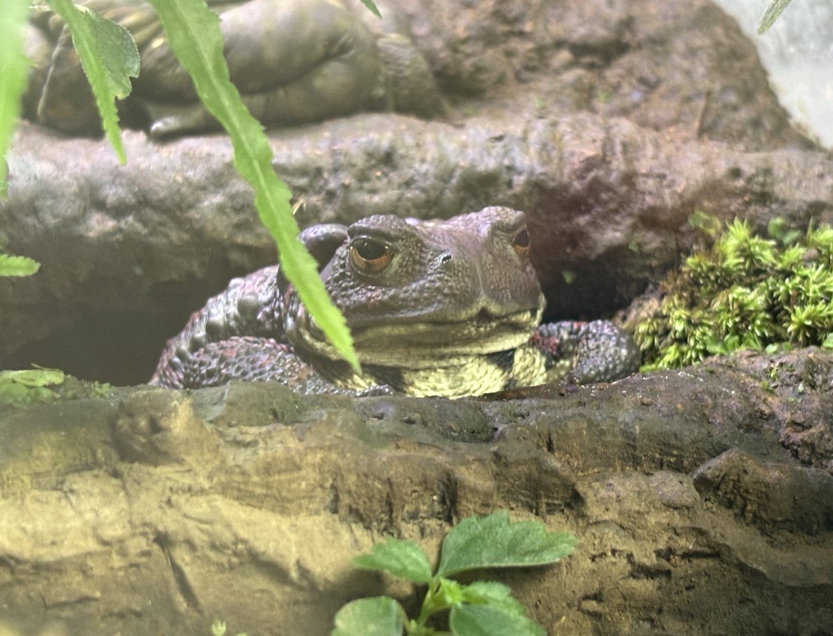 だいぶ油断してる顔

友達に不意に撮られたやつやんSNSあげられるわけじゃないから消してと言うのも意識しすぎてキモいかなってやつやん。