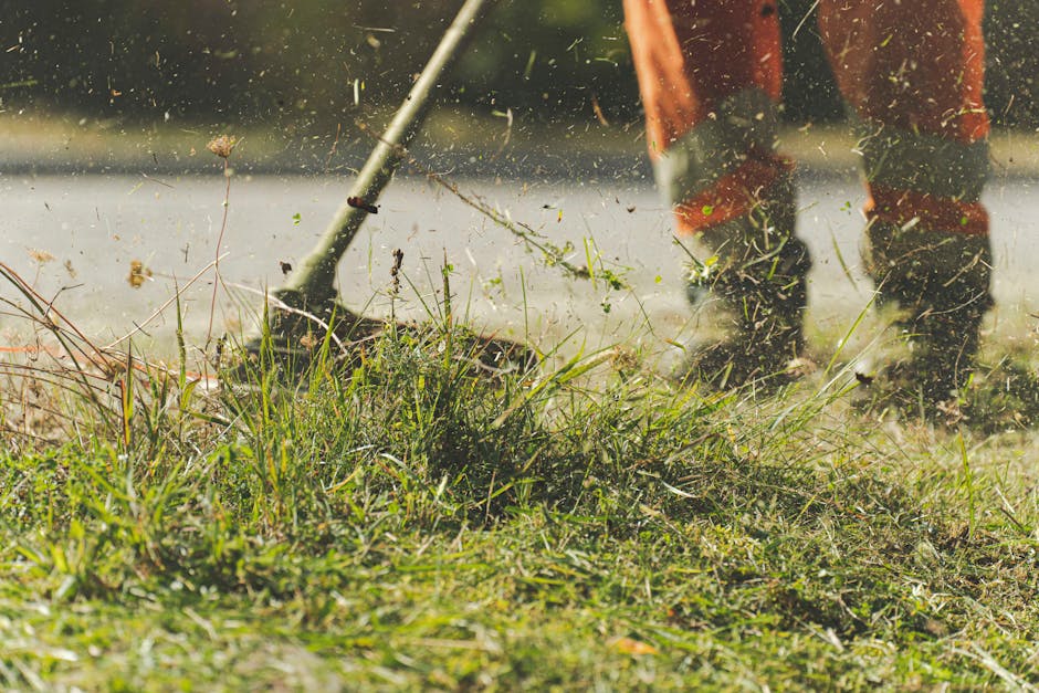 Always carefully check for wildlife before mowing or strimming. Nocturnal hedgehogs sleep during the day in long grass, under hedges or in piles of sticks and leaves.