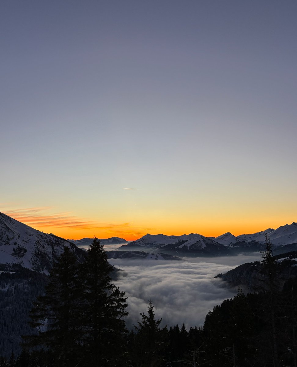 More Mountain tweet media