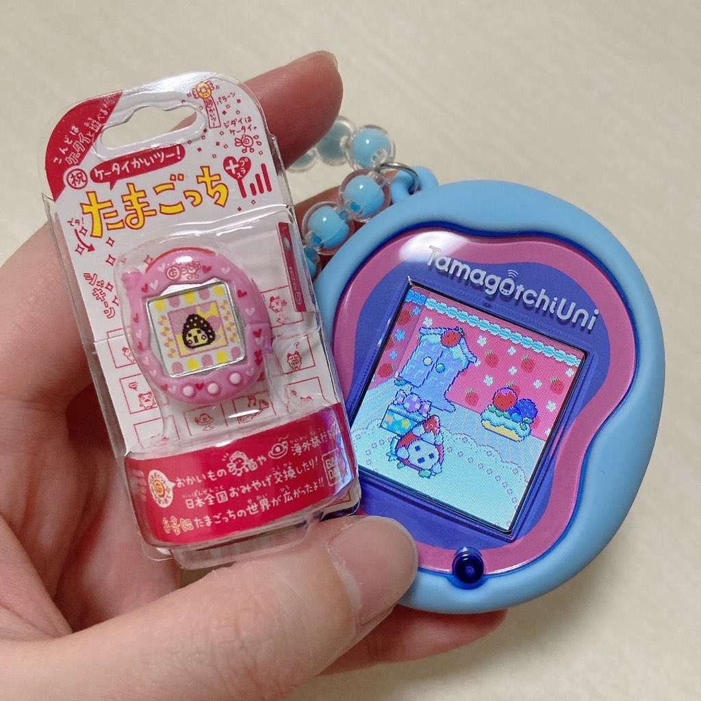 ちまのしっぽ。 tweet media