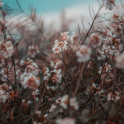 Your wisdom has been my North Star. Thanks, bro. The author's expertise shines through in this article. Son Dudding