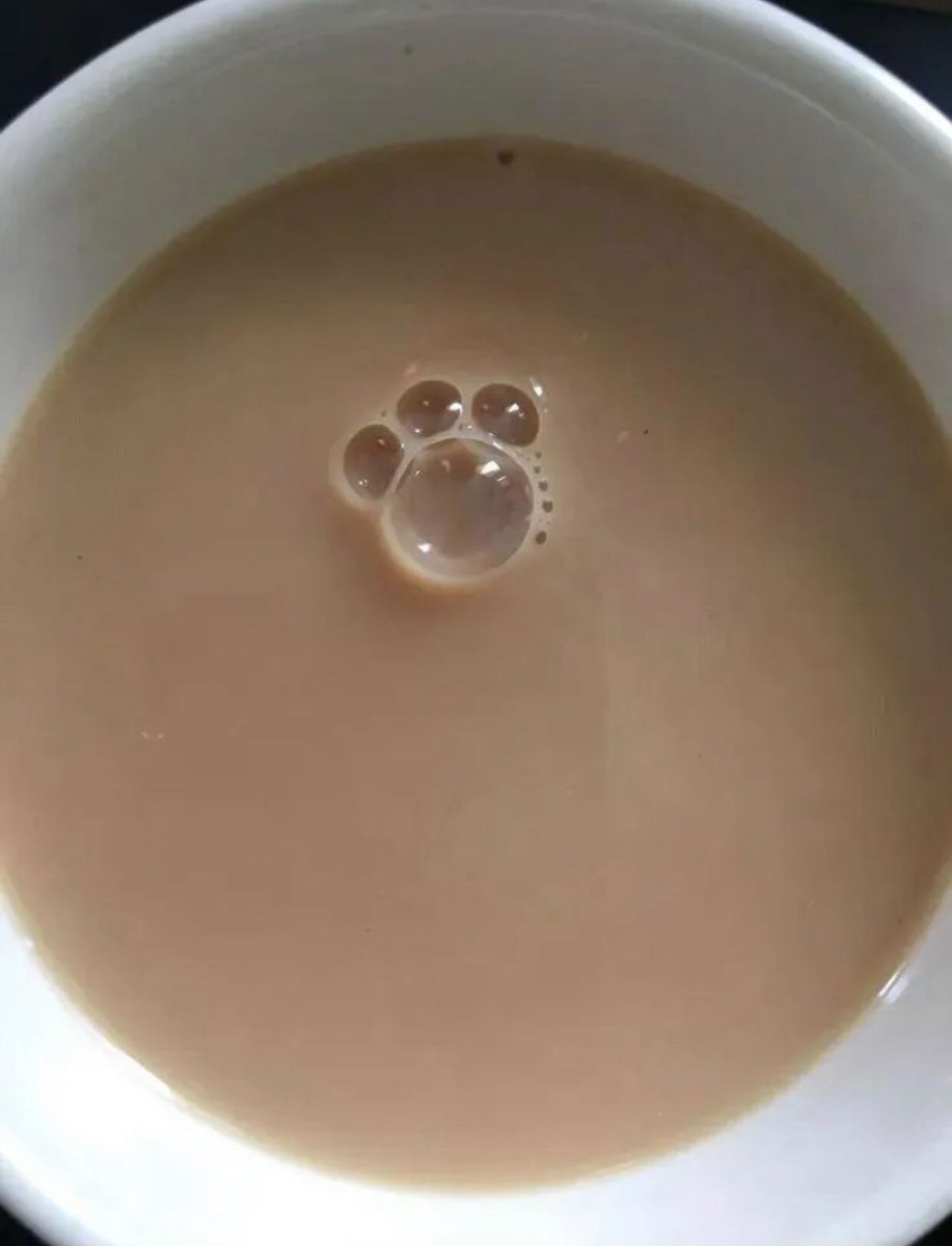 Jaswind78188631's tweet image. Everywhere I go, I see it

#catlover #coffie