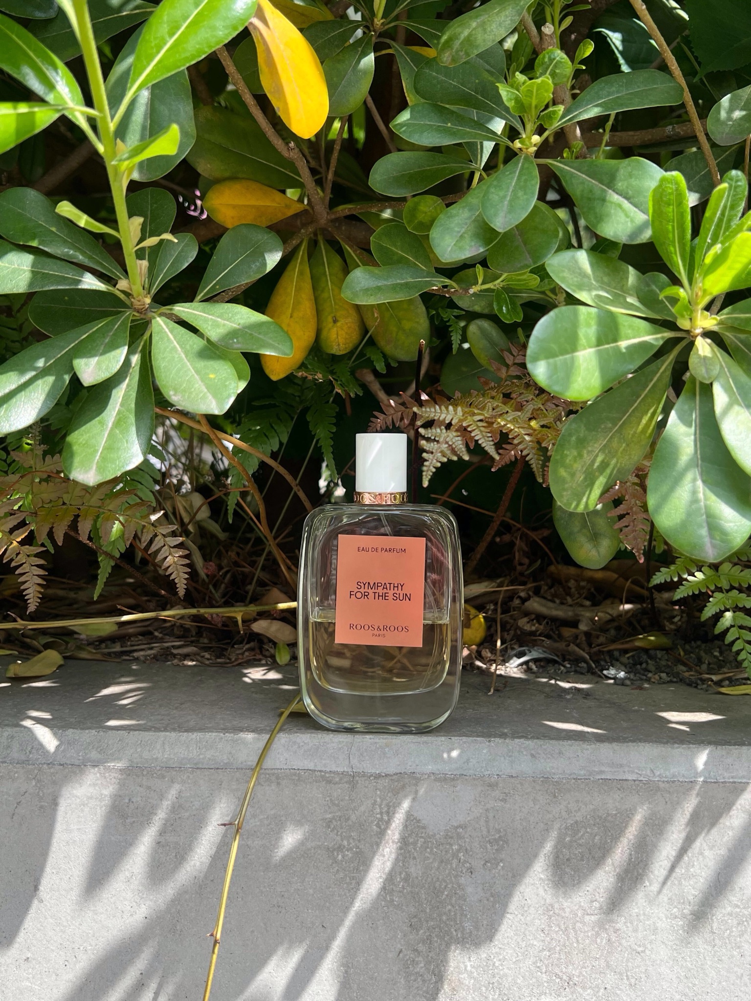 ROOS&ROOS SYMPATHY FOR THE SUN 香水 SYMPATHY FOR THE SUN – Roos & Roos