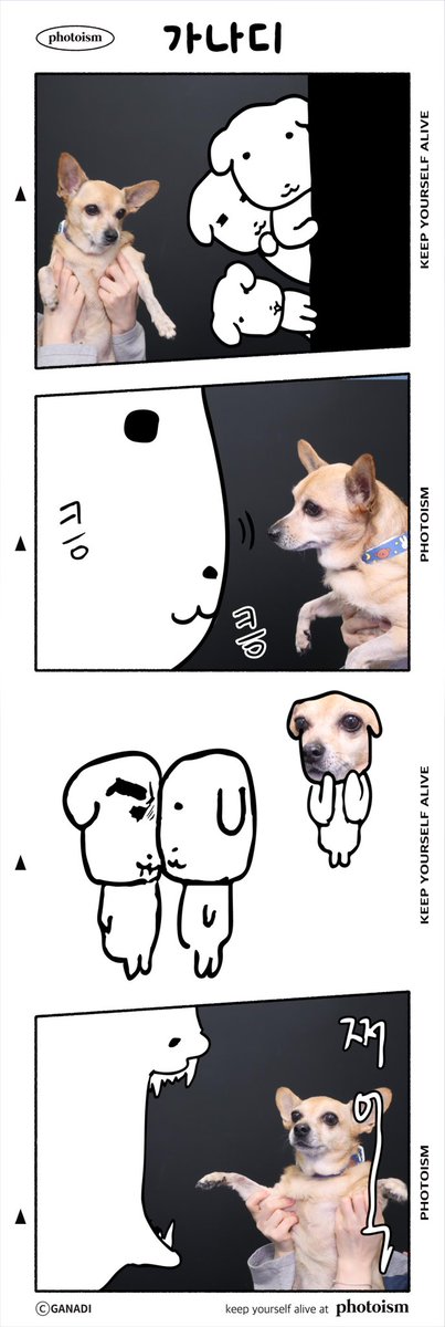 dokdothedog's tweet photo. 가나디 https://t.co/s4Z5Hsyupj