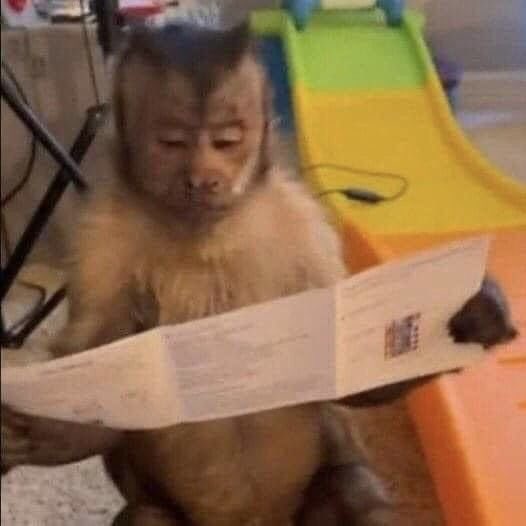 rivers as monkeys (@riversmonkeys) on Twitter photo 
