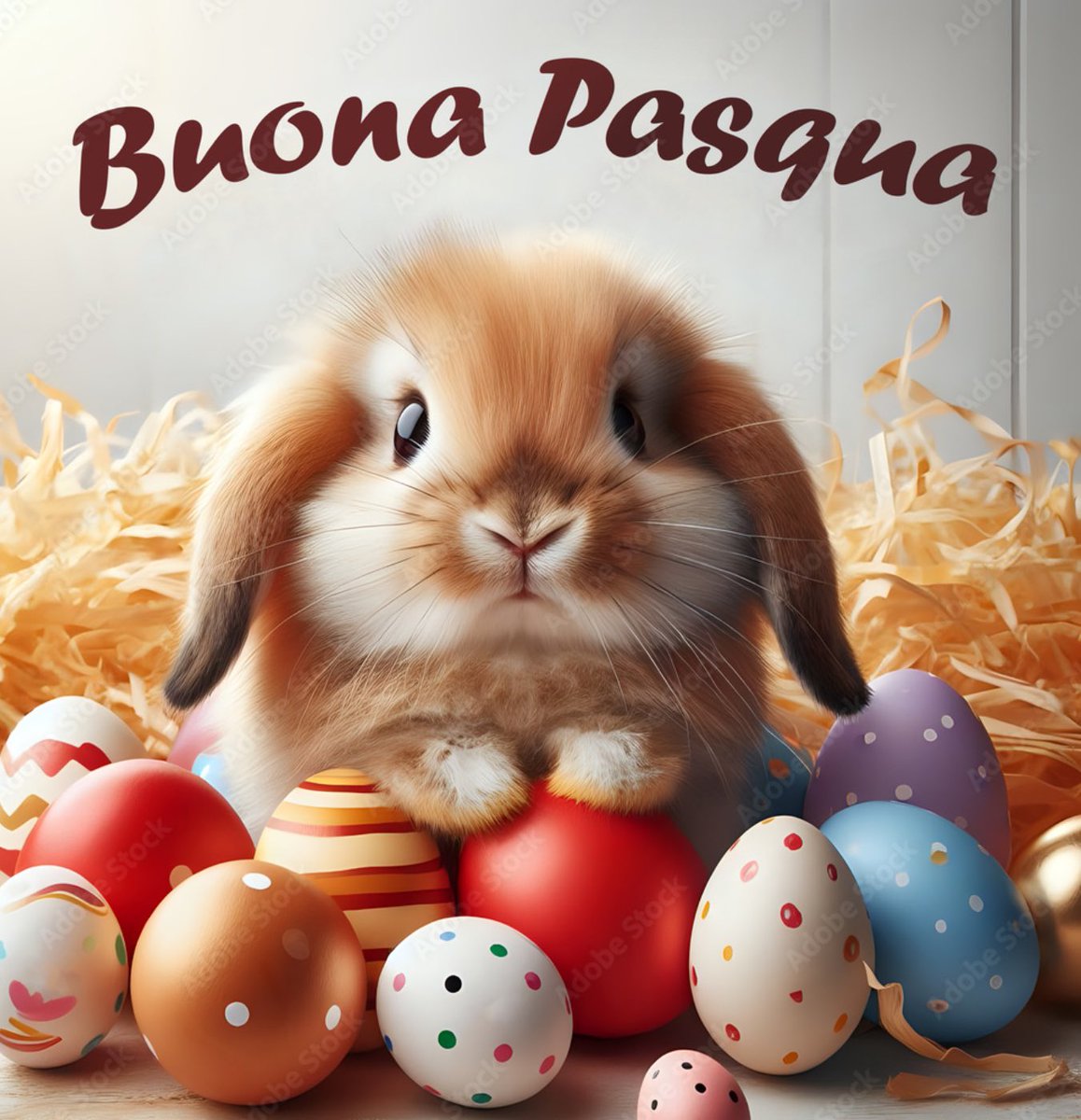 Buona Pasqua di pace e serenità 🐣🐣#prelemi