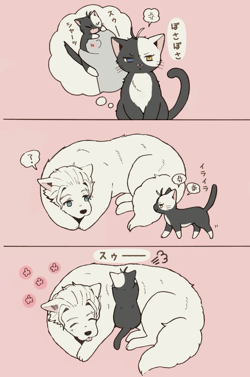 人間に吸われすぎて
ちょっとストレス気味な🌸にゃん
うめさく 