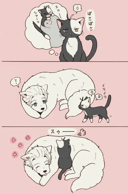 人間に吸われすぎて
ちょっとストレス気味な🌸にゃん
うめさく 