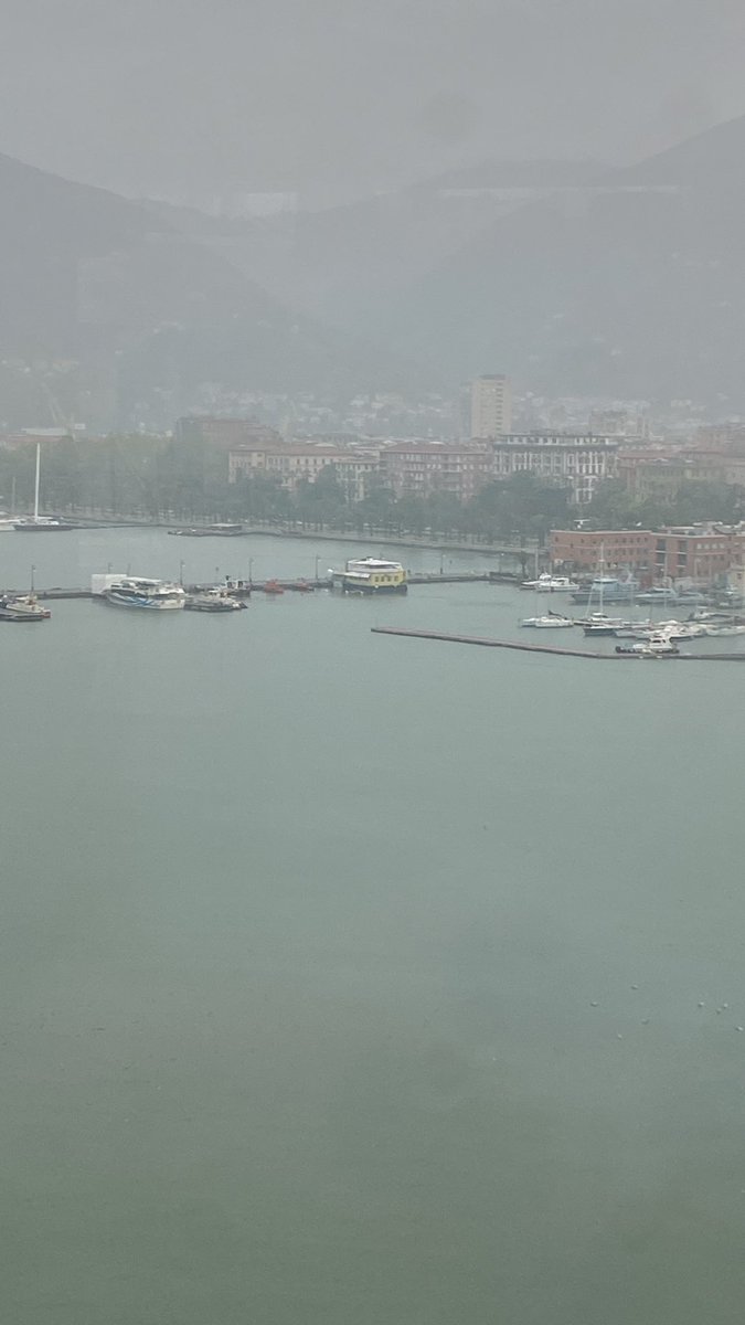 Prof Bev Snaith tweet media