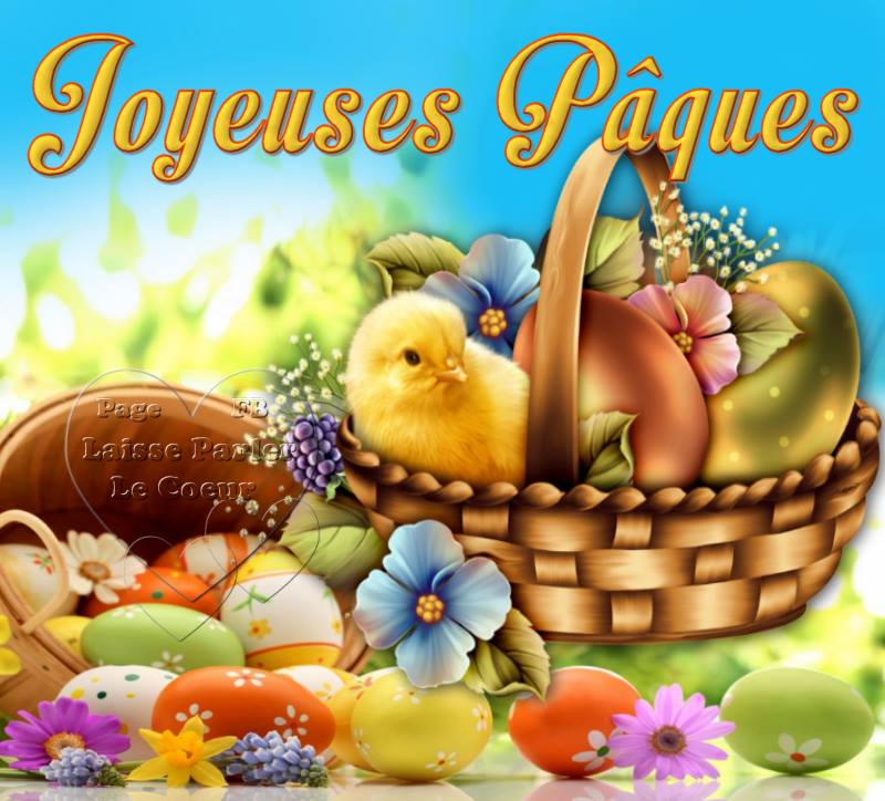 Bonne Pâques à vous et à votre famille. Puissiez-vous apprécier une joyeuse et belle fête avec un délicieux repas et des desserts chocolatés.

Happy Easter to you and your family. May you enjoy a joyful and beautiful celebration with a delicious meal and chocolate desserts.