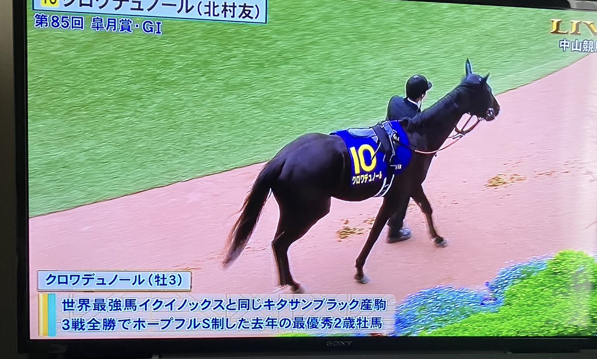 みてます👀