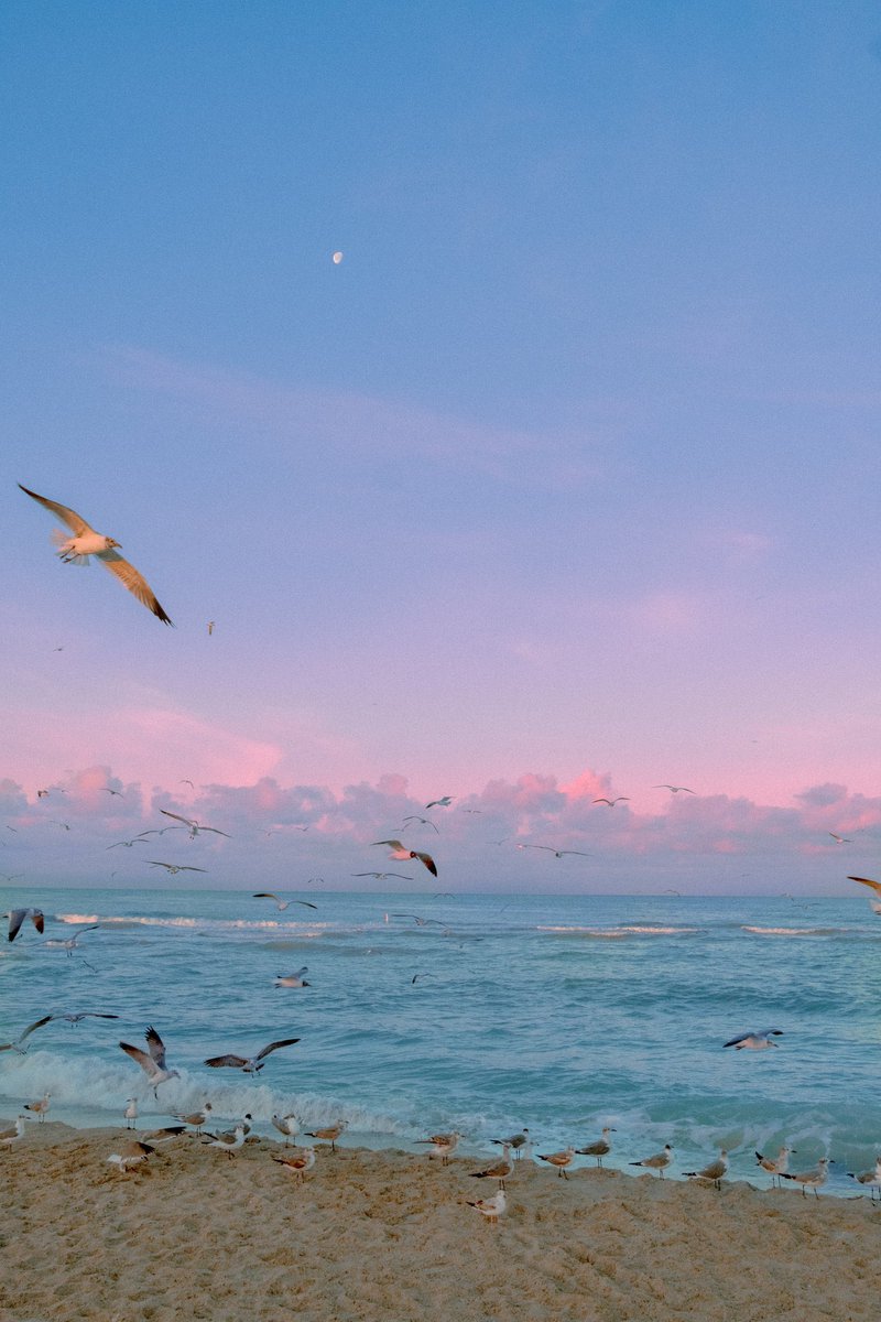 Tamara Srzentić (@tamarasrzentic) on Twitter photo  Tamara Srzentić (@tamarasrzentic) on Twitter photo