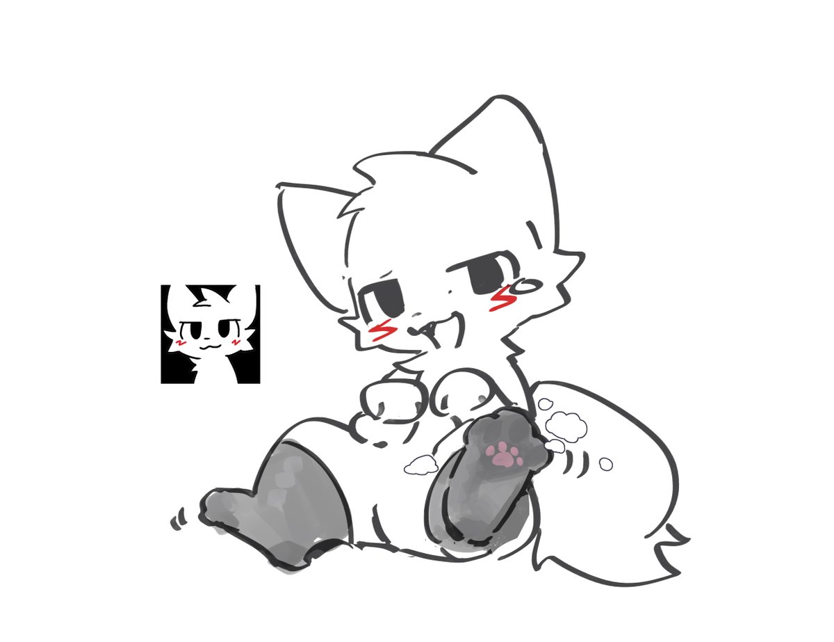 不会飞的袜子 (@hozi1334639) on Twitter photo 