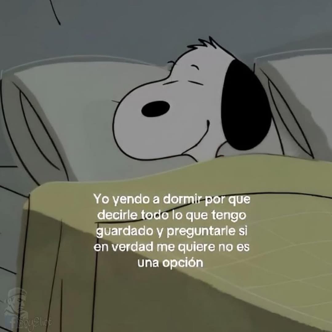 En Júpiter (@en_jupiter_) on Twitter photo 
