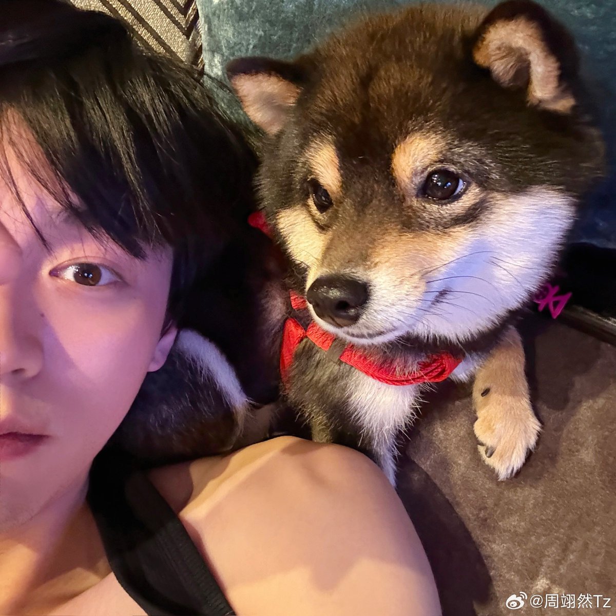 dramapotatoe's tweet photo. #ZhouYiran shares new snaps

#周翊然 https://t.co/lOOA2BNSSU