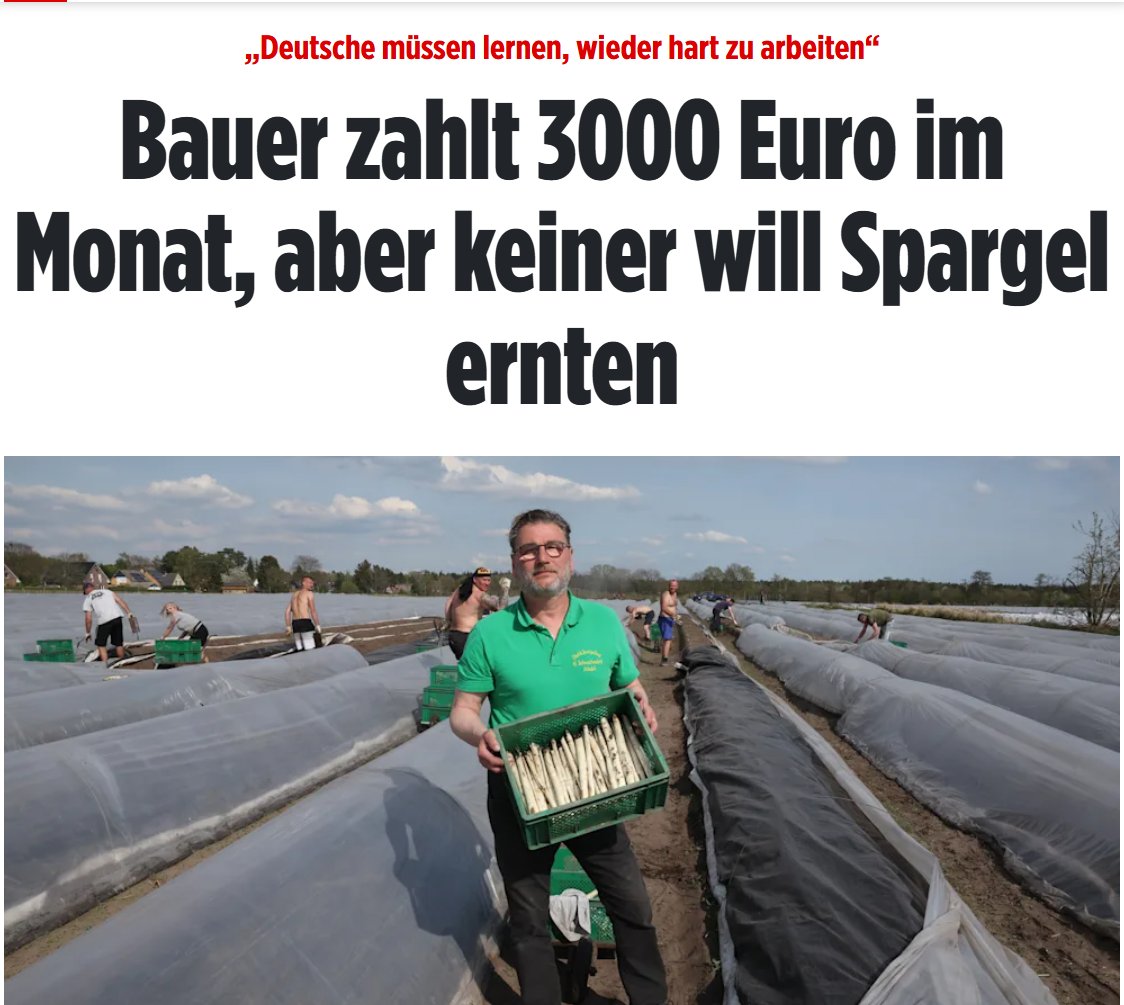 vwlBernd's tweet photo. Meistens liegt das Problem bei einem selbst

Unternehmer finanzieren mit ihren Steuern Millionen von nutzlose Bürokraten. Wenn Unternehmer Steuern verweigern und private Versicherungen beauftragen würden sie zu beschützen, dann müssten die ganzen Beamten sich echte Arbeit suchen. https://t.co/3XOwn4fnjb