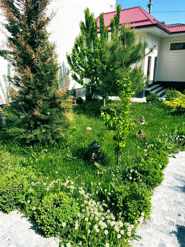 Хадлангаа нэг авья даа!