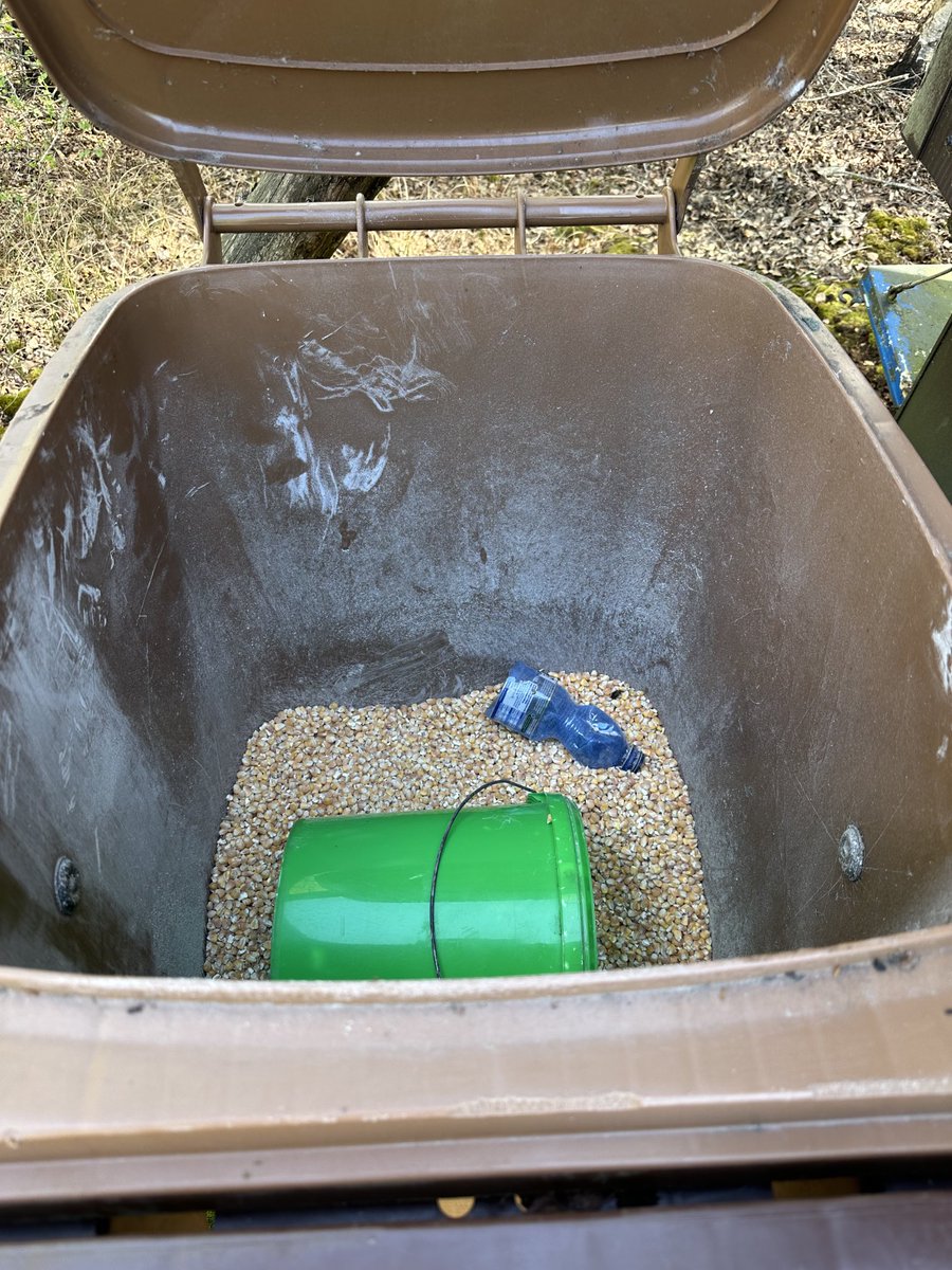 PostEgbert's tweet image. Wat een prachtige hobby hebben die kloten jagers! En ons maar vertellen dat wij stadsmensen niets van de natuur begrijpen!! En willen ze je ook nog intimideren 🥊