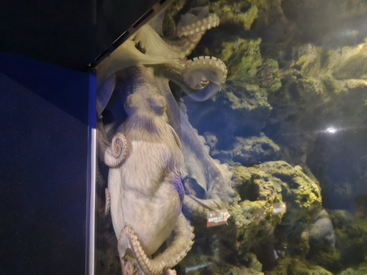 好想要...討伐...