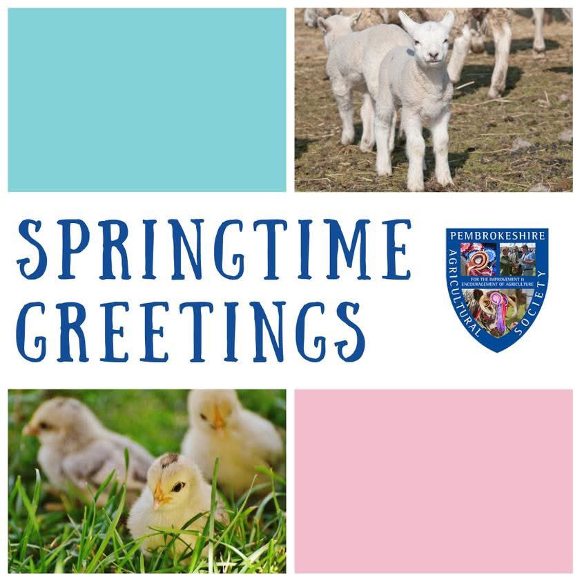 Pasg Hapus 🐣 Happy Easter
from the team at Pembrokeshire County Show
we wish you a long weekend full of health, happiness and, of course, chocolate!