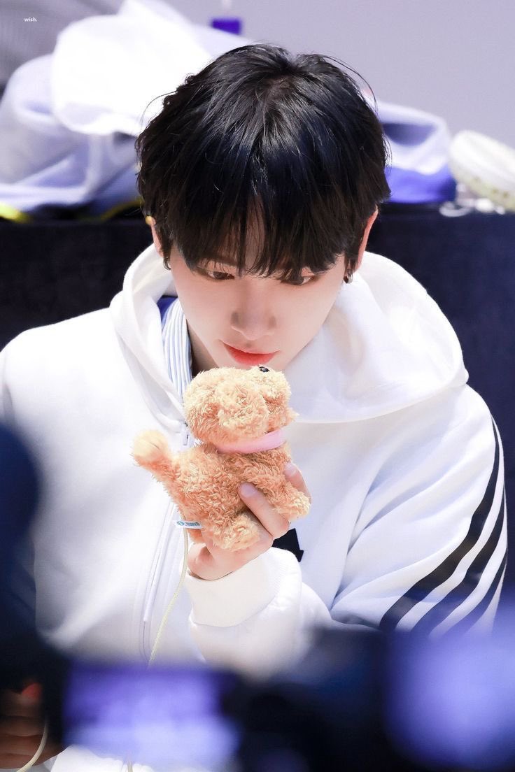 iiiiiii__iiiiil's tweet photo. 강아지는 나야 둘이 될 수 없어 https://t.co/qNEdvyHSXK