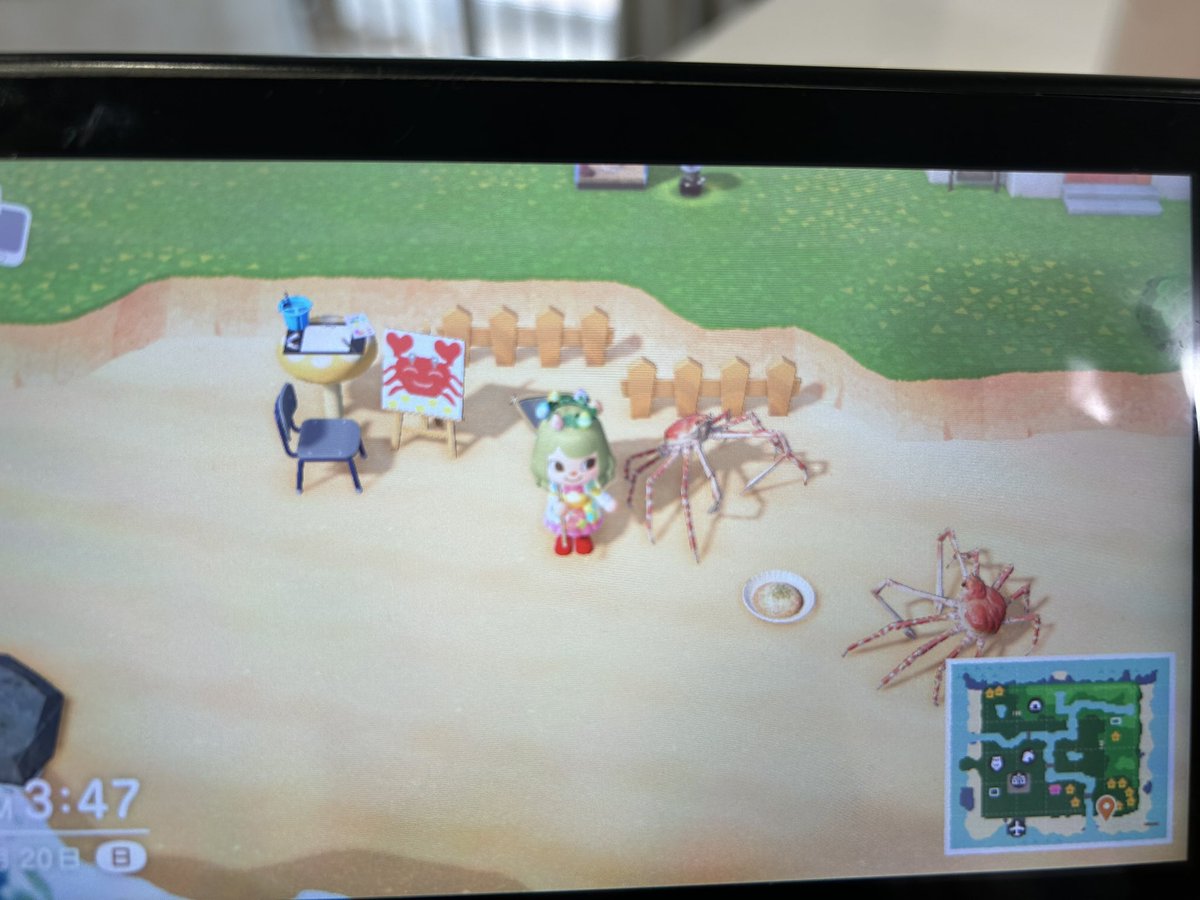 島始めたばかりの、とりあえずあるもの置いてる時期がなんだかんだ一番好き