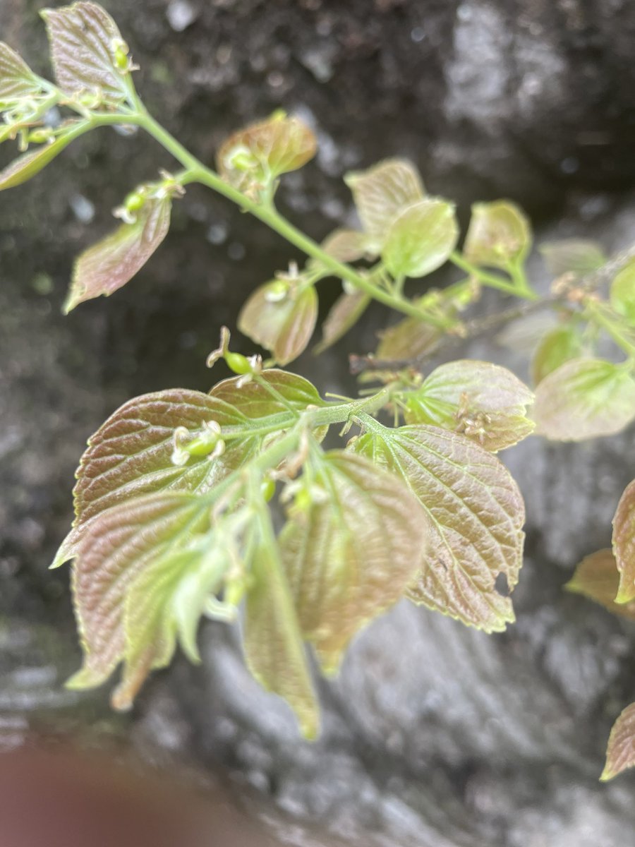 길 위의 신부 tweet media