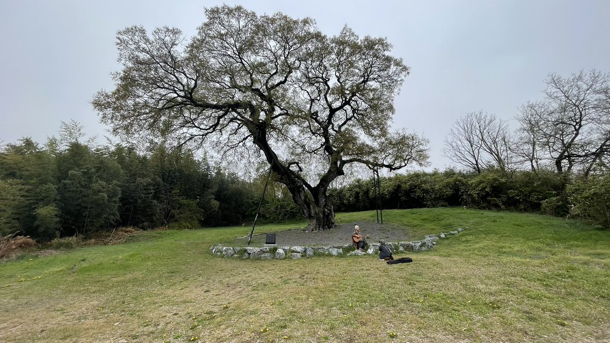 길 위의 신부 tweet media