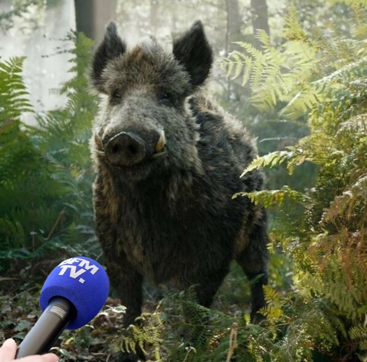 Nini_MacBright's tweet photo. - Apparemment, aujourd'hui, ils chassent des œufs, on comprend pas trop le concept mais ça nous fait des vacances https://t.co/FSvaulo1OI