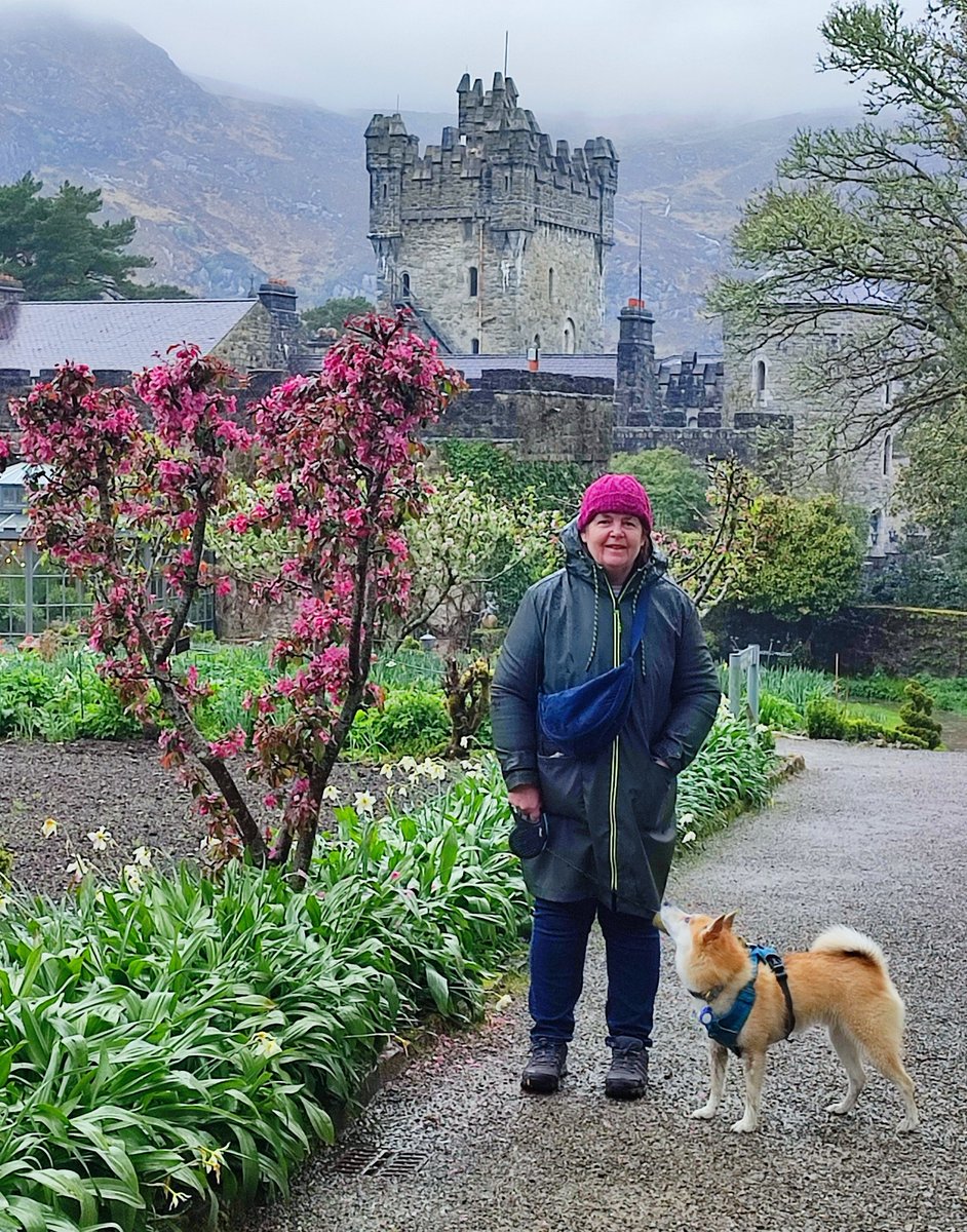 Brian E.Carruthers tweet media