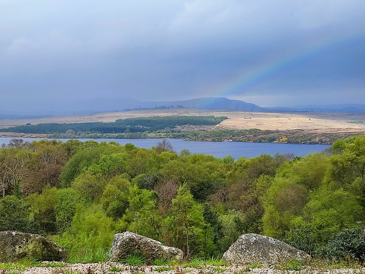 Brian E.Carruthers tweet media