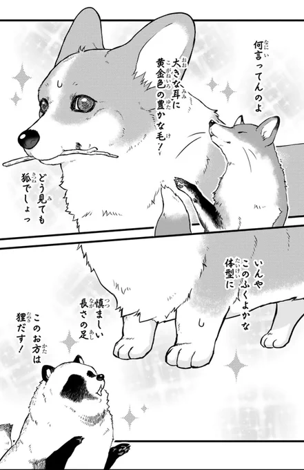 キツネ? たぬき?

#殿と犬🐶 