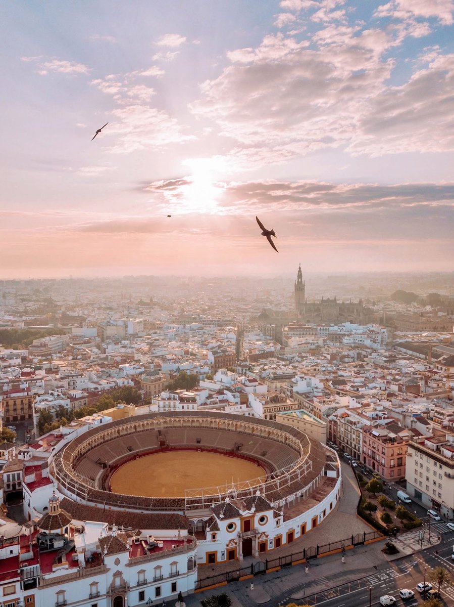 Toroslidia's tweet image. Hoy es uno de los días más señalados del calendario taurino.
Sevilla cambia el hábito de la Semana Santa por el albero de su Maestranza: comienza la temporada taurina.
Feliz Pascua de Resurrección a todos.
¡Que Dios reparta suerte!