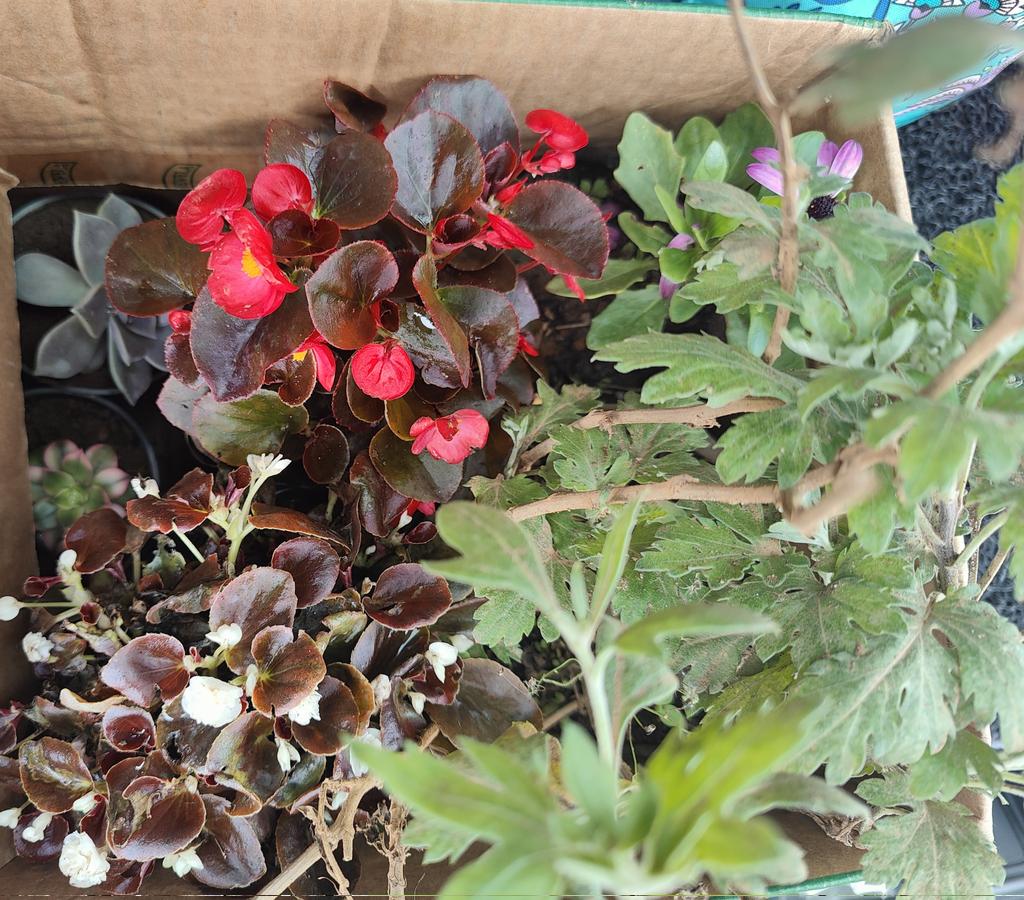 Rajeev Menon ๐ฑ๐ฐ (@rajeevmenonsl) on Twitter photo Hotel chain made jam to organic tea made in the hotel factory and of course plants for sale....The Tea Factory in Nuwara Eliya by .<a href="/HeritanceHotels/">HeritanceHotelsandResorts</a> is a must place to visit! Heritance....never disappoints. .<a href="/AitkenHotels/">Aitken Spence Hotels</a>
#srilanka #lka #heritance #teafactory #jams #organictea Hotel chain made jam to organic tea made in the hotel factory and of course plants for sale....The Tea Factory in Nuwara Eliya by .<a href="/HeritanceHotels/">HeritanceHotelsandResorts</a> is a must place to visit! Heritance....never disappoints. .<a href="/AitkenHotels/">Aitken Spence Hotels</a>
#srilanka #lka #heritance #teafactory #jams #organictea
