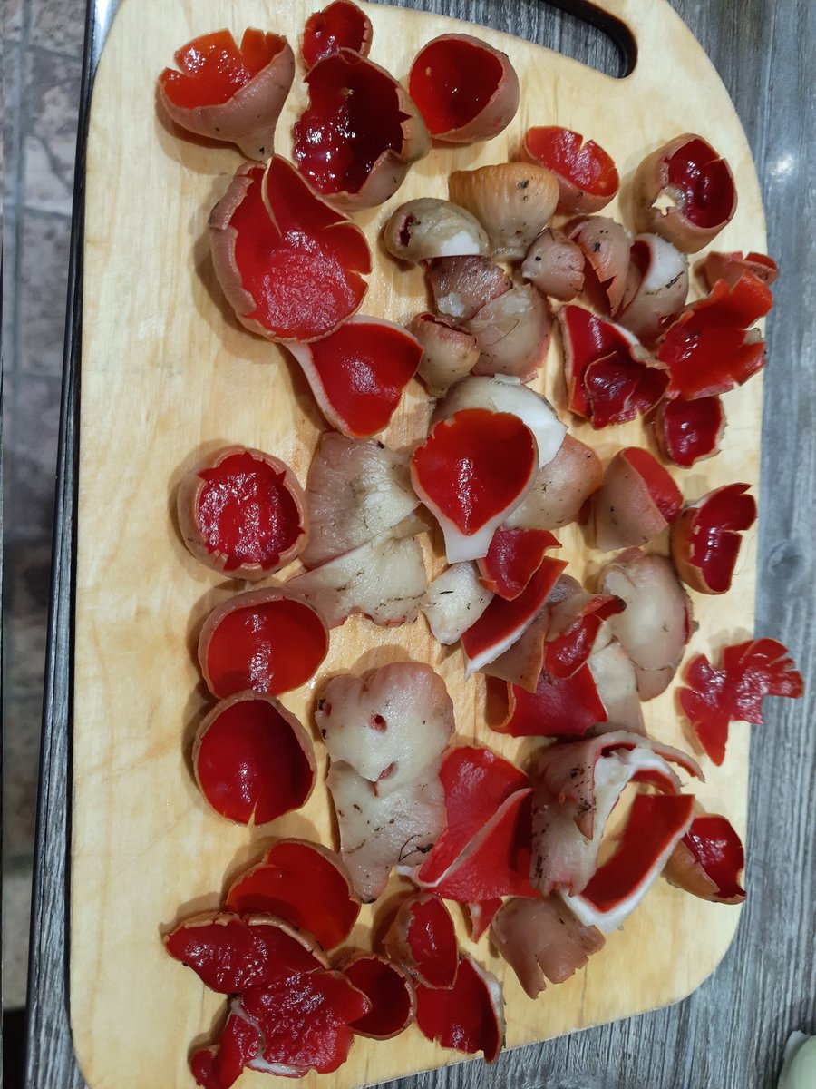 GUDRON74's tweet photo. Саркосцифа алая. Оказалась вкусной и полезной.Будем брать! https://t.co/oMbeoBNpWV
