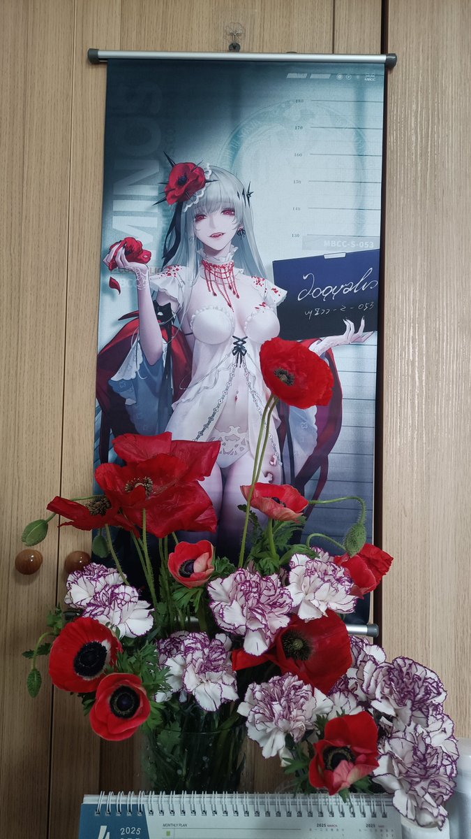 Chouko_'s tweet image. 在花市看到20元一大把的虞美人于是买回来供可可