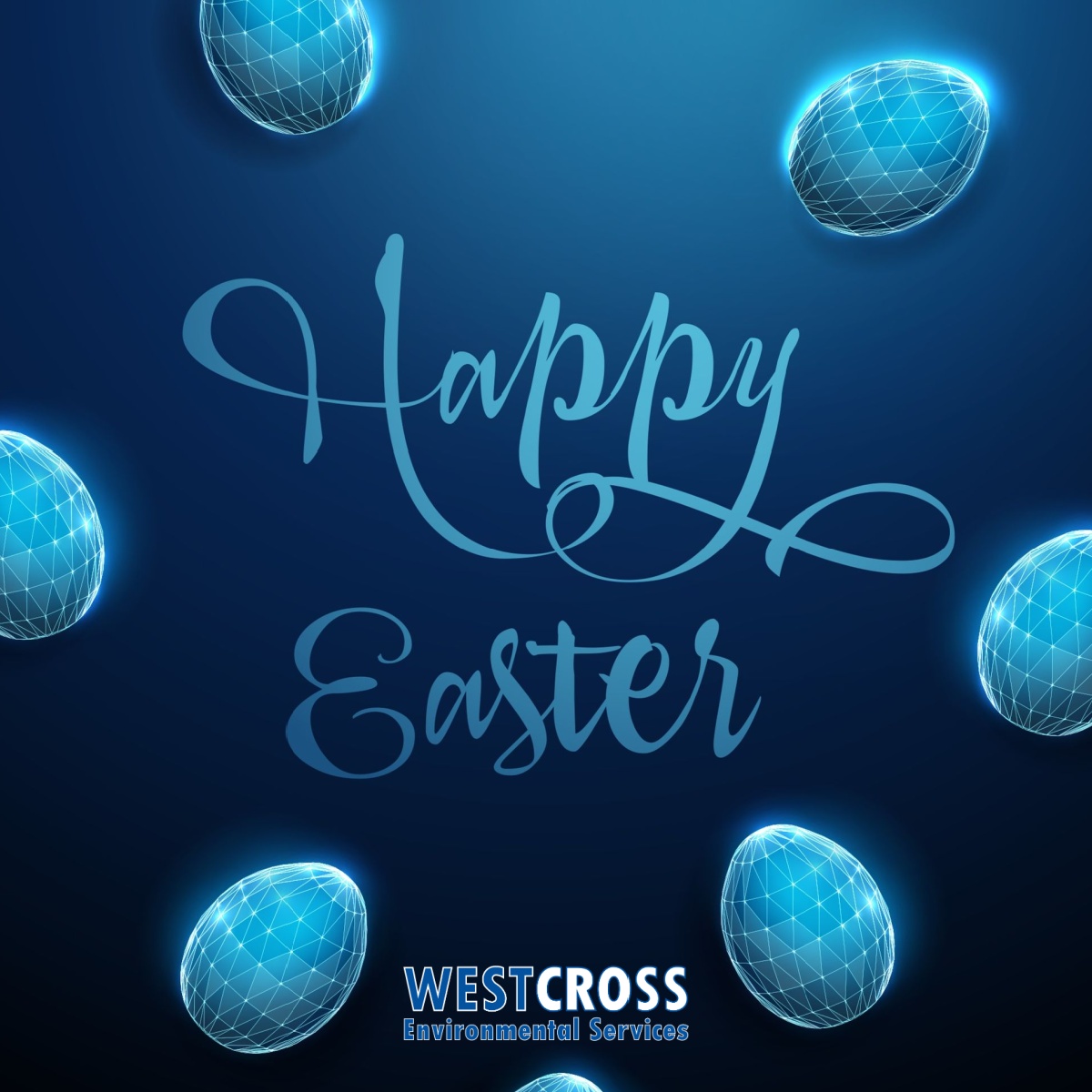WestCross Environmental Services Ltd tweet media