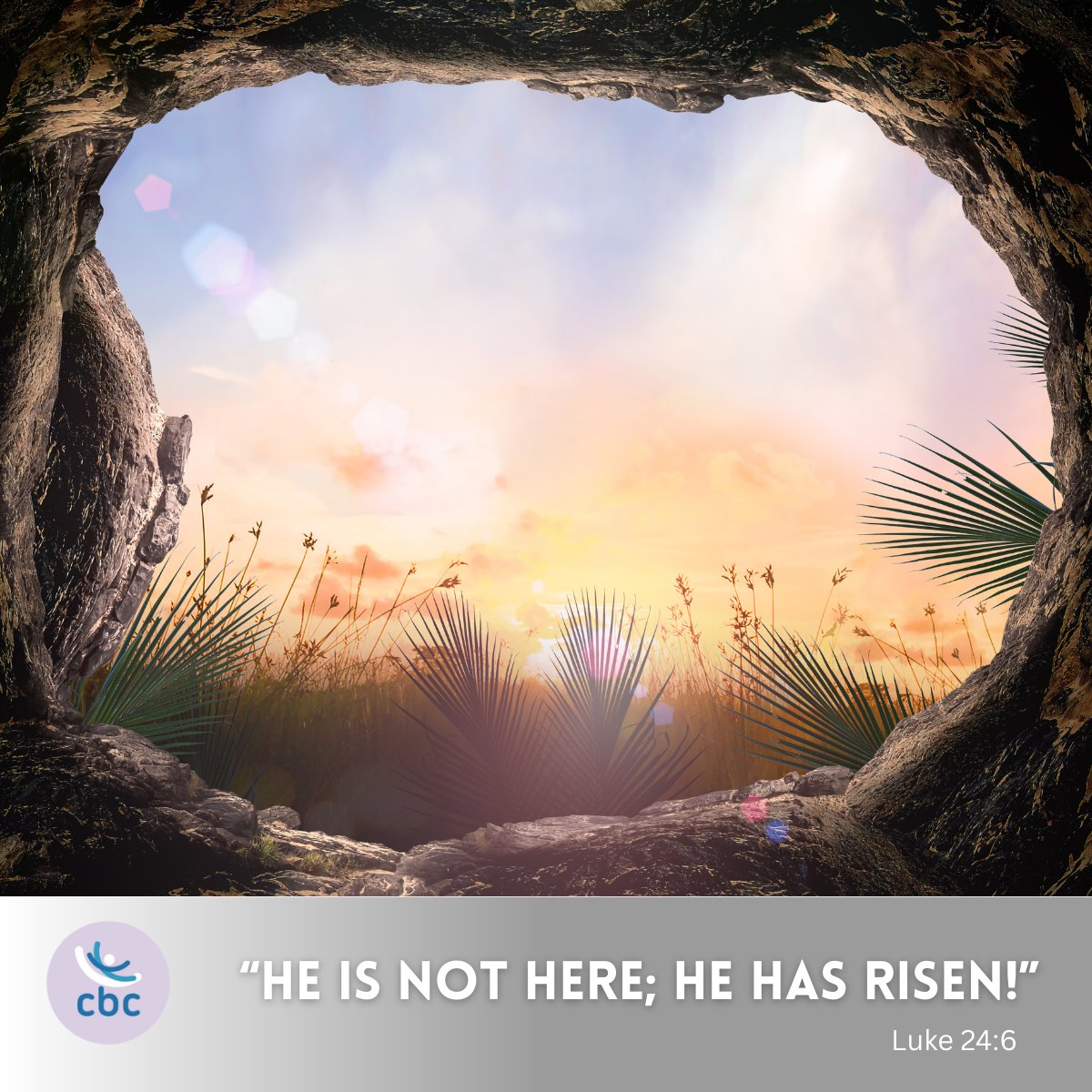 CBCUKofficial's tweet image. He is Risen! Today we rejoice in the resurrection of Jesus Christ—our living hope. Death is defeated, and life has triumphed. #EasterSunday #ResurrectionSunday #HeIsRisen #CBCUK
