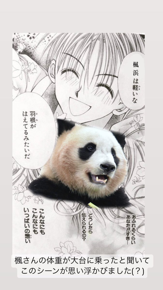csk_panda's tweet photo. ストーリーでよく遊んでます。よろしくお願いします。
https://t.co/DBnShKy0wp https://t.co/Ox0RoyXU6K