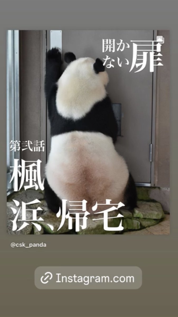 csk_panda's tweet photo. ストーリーでよく遊んでます。よろしくお願いします。
https://t.co/DBnShKy0wp https://t.co/Ox0RoyXU6K