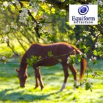 Photo by Equiform Nutrition (@equiform)