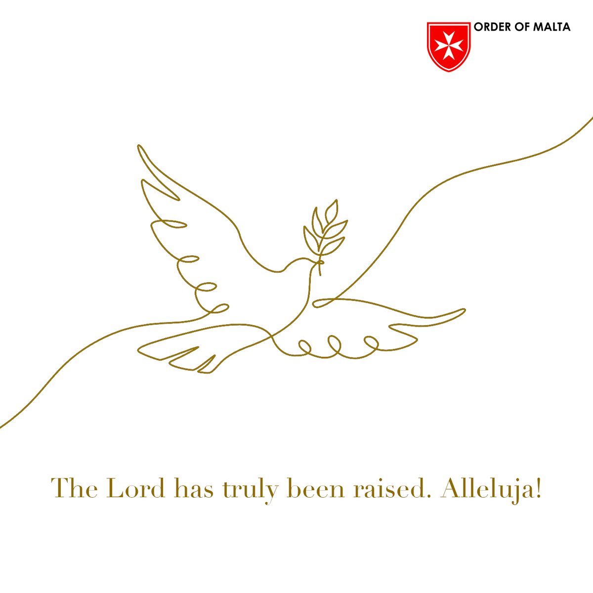 Order of Malta tweet media