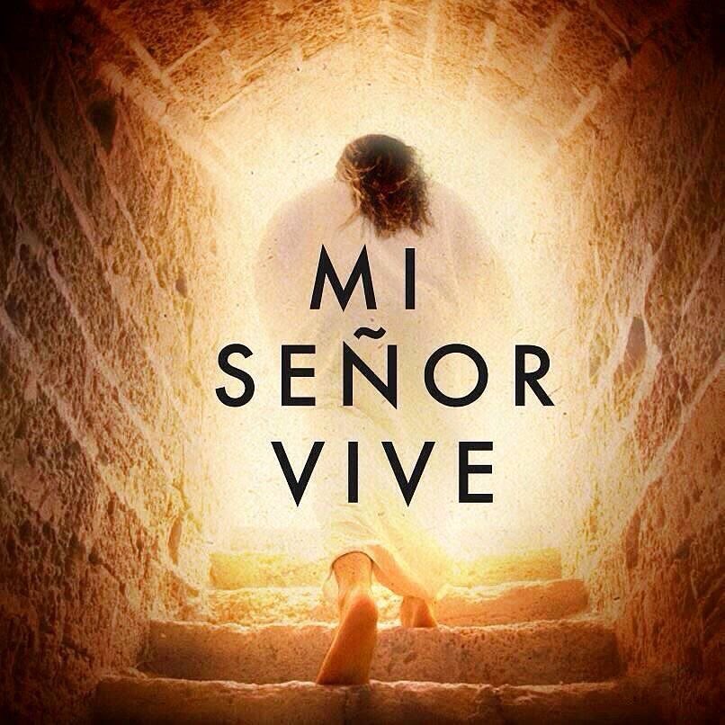 rosienlasnubes's tweet photo. Buenos días ❤️.
Feliz Domingo de Resurrección 🫂🤍✝️🙏🏼.
Que esta alegría que sentimos ahora por la Resurrección de nuestro Señor,ilumine nuestra Vida con Amor y Esperanza y nos renueve la Fe llenado nuestro corazón de Luz,Amor y Paz.
Él Vive!
Viva Cristo Rey! ✝️❤️🥰 https://t.co/PTuvzy0GHv