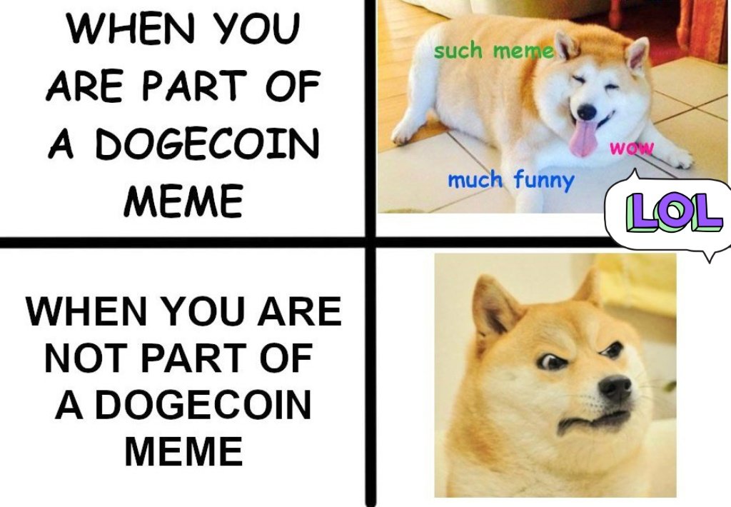 Pkbro6ix9ine's tweet photo. @bitgetglobal @dogecoin #BitgetDogeDay #Bitget
LFG π https://t.co/l3NAbGICt6