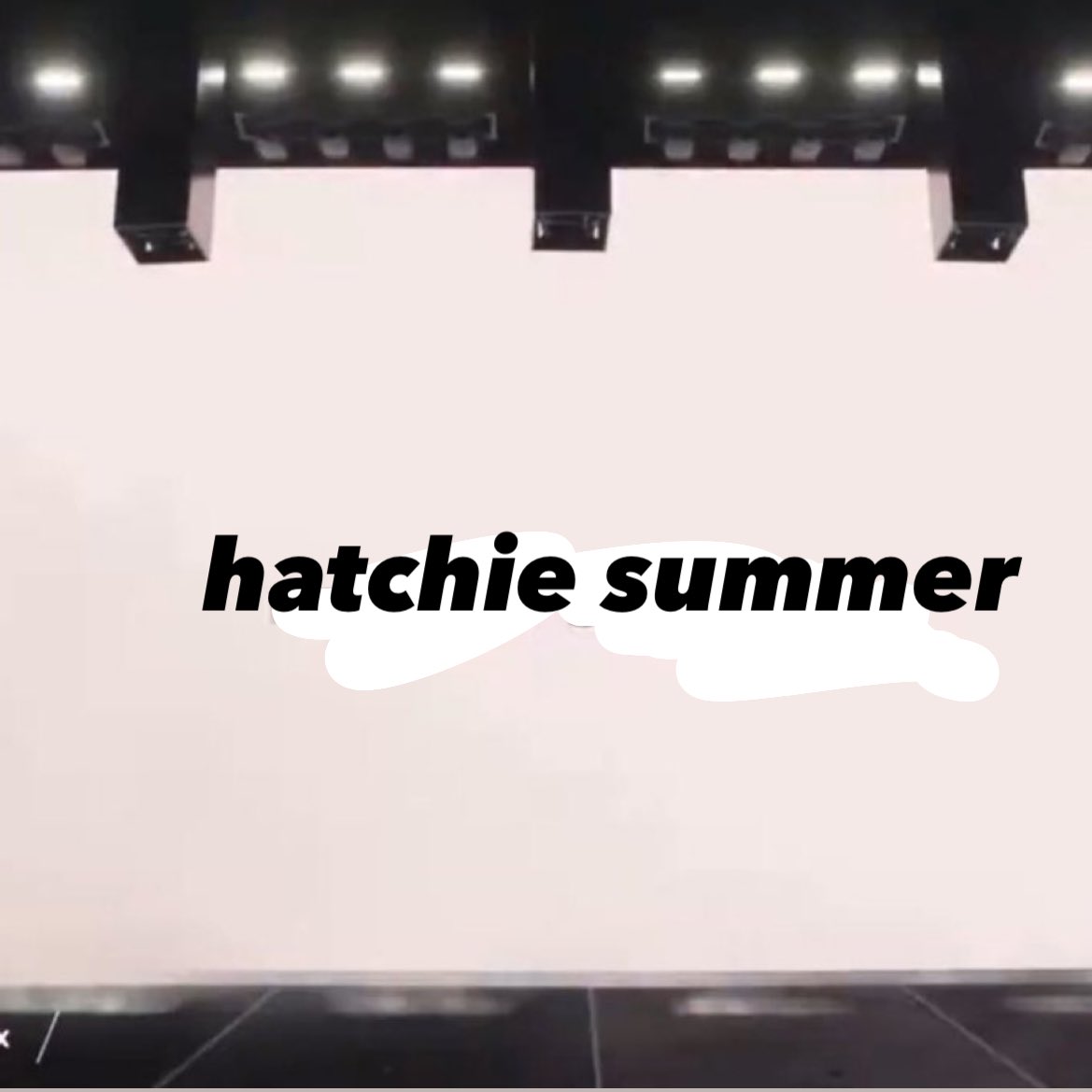 charli xcx declares hatchie summer 🤩