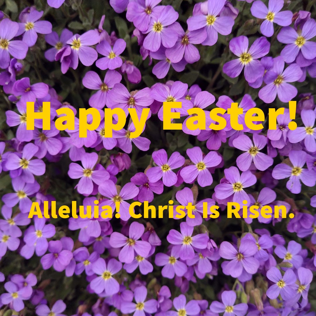 May I wish all my X followers a very Happy Easter! And if you share my Christian faith: Alleluia! Christ Is Risen!

#HappyEaster #HeIs