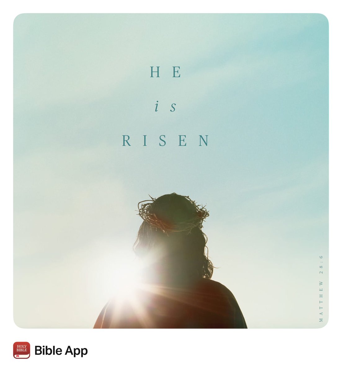 The Christian Film Review tweet media